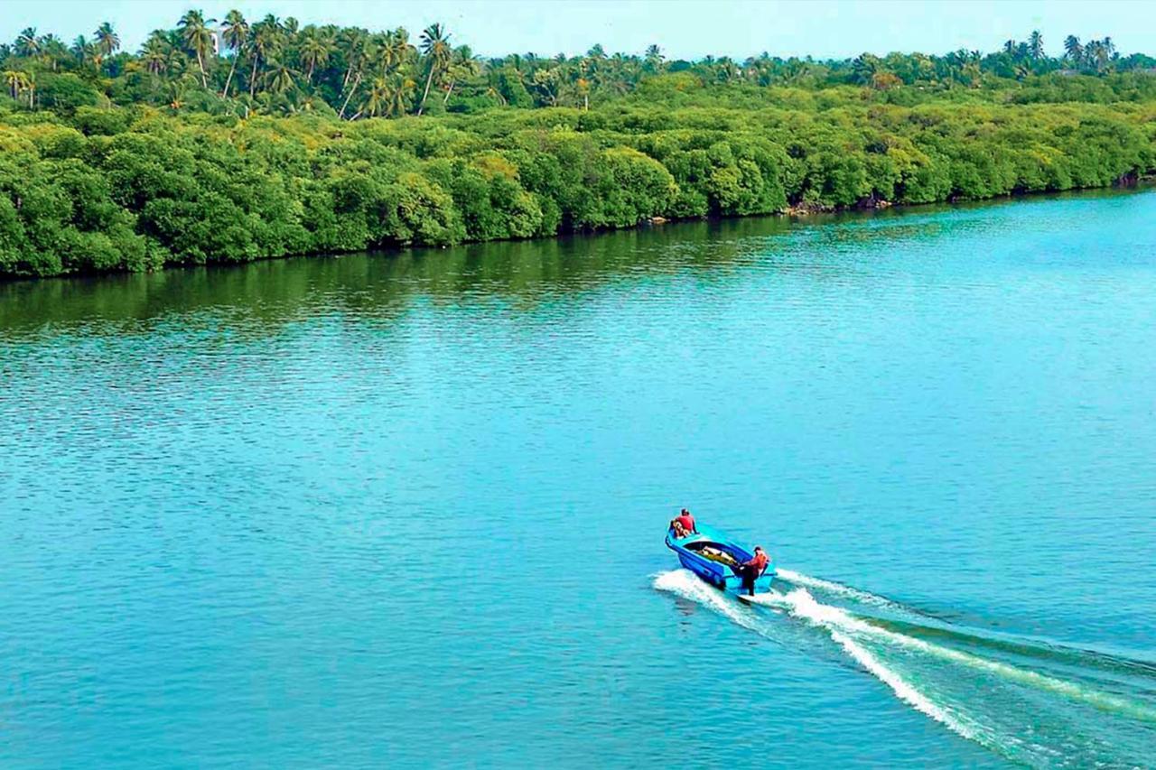 Bohemian Hotel - Negombo Dış mekan fotoğraf