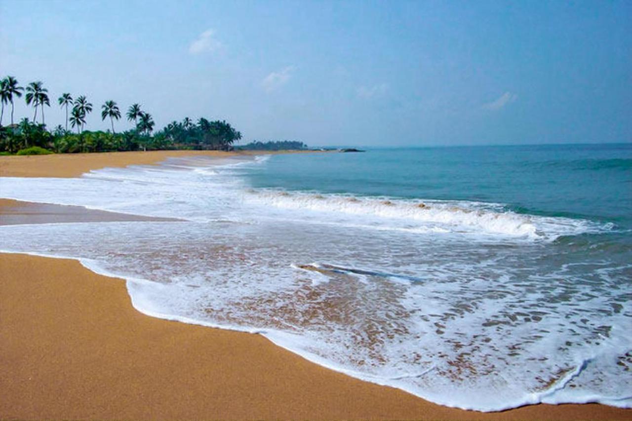 Bohemian Hotel - Negombo Dış mekan fotoğraf